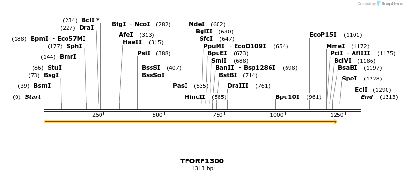 282594_map