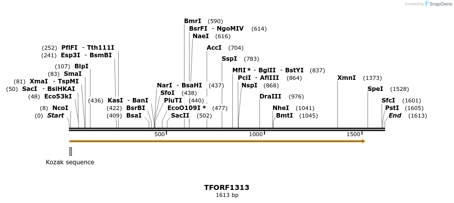 282597_map