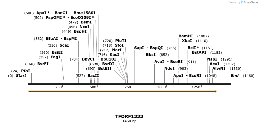 282603_map