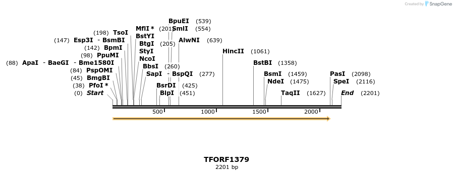 282612_map