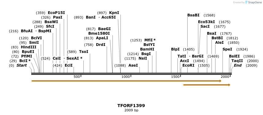 282615_map