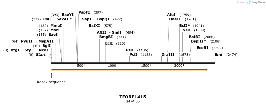 282618_map