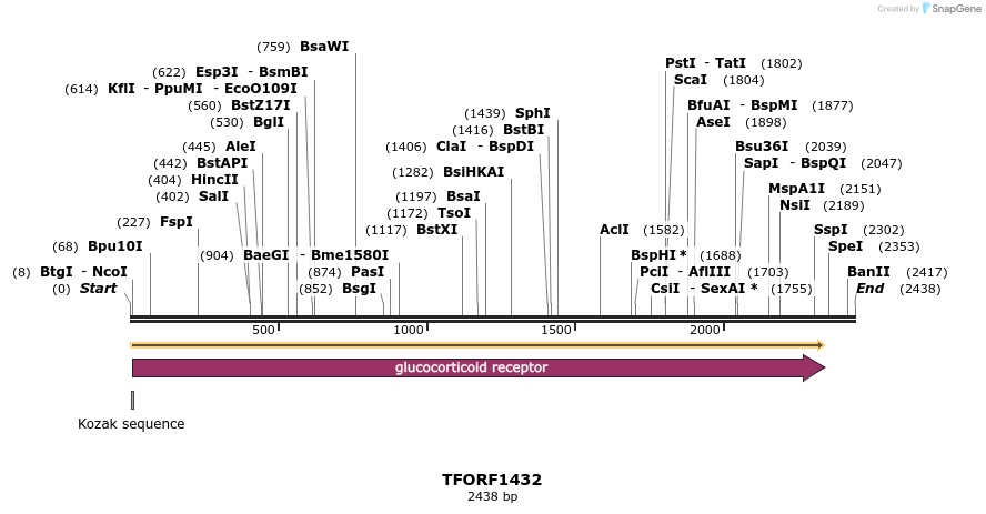 282621_map