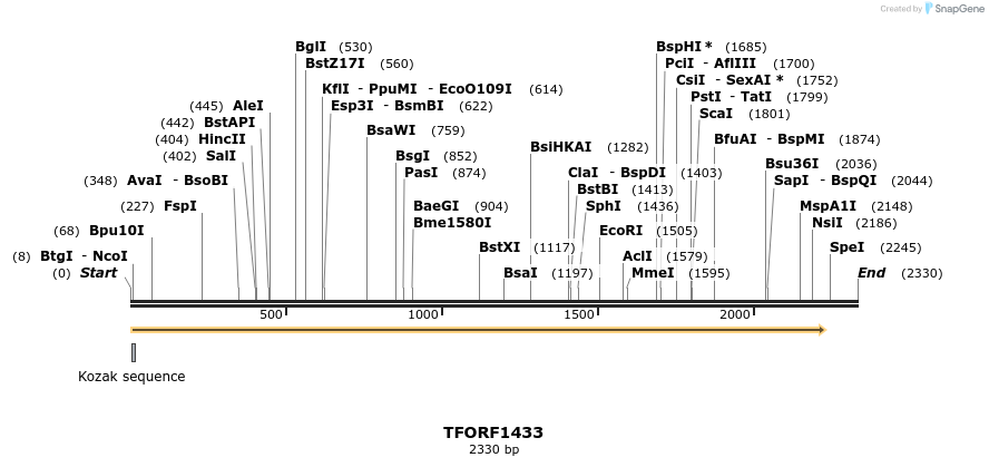 282624_map