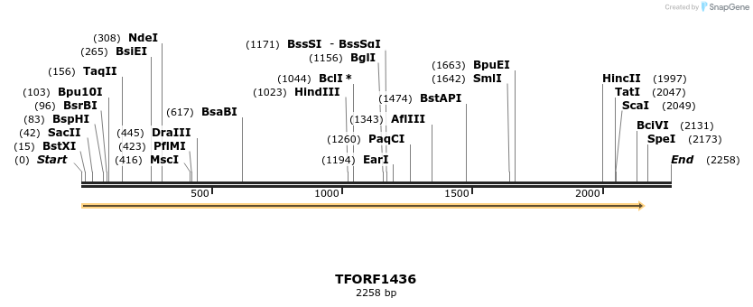 282627_map