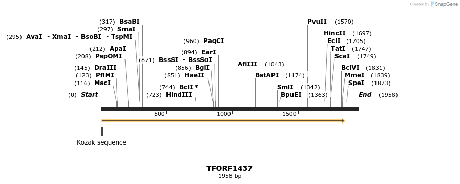 282630_map