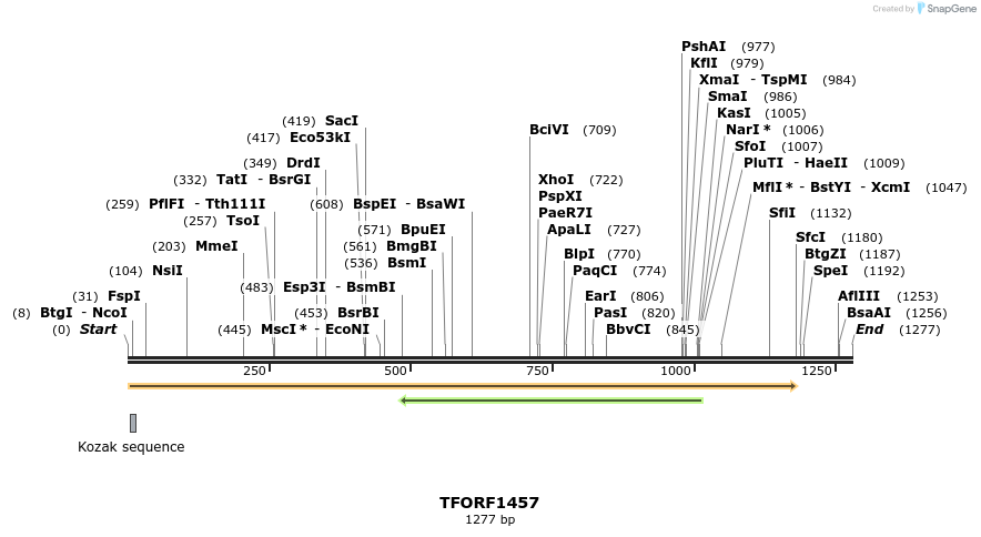 282633_map