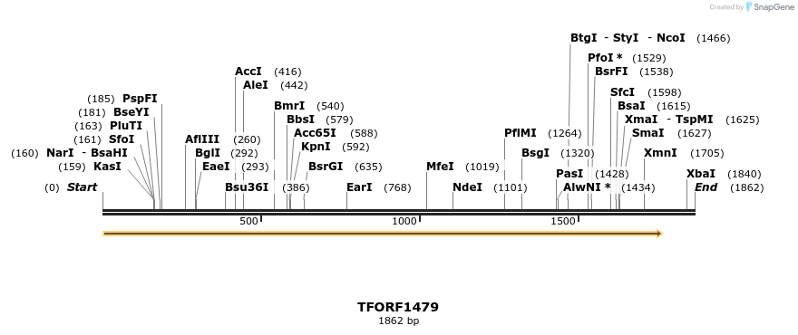 282642_map