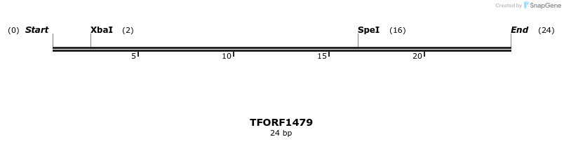282643_map