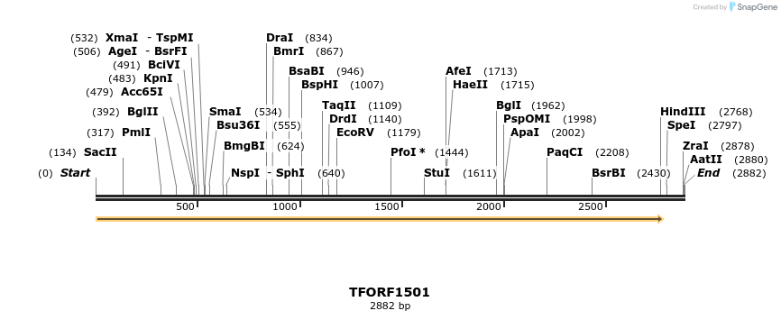 282648_map