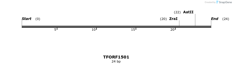 282649_map