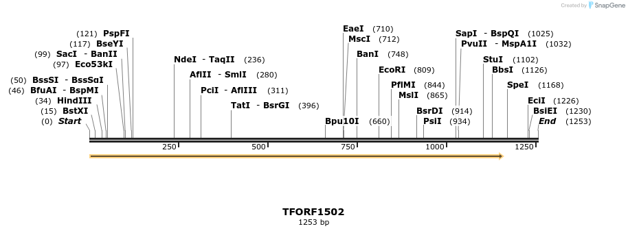 282651_map