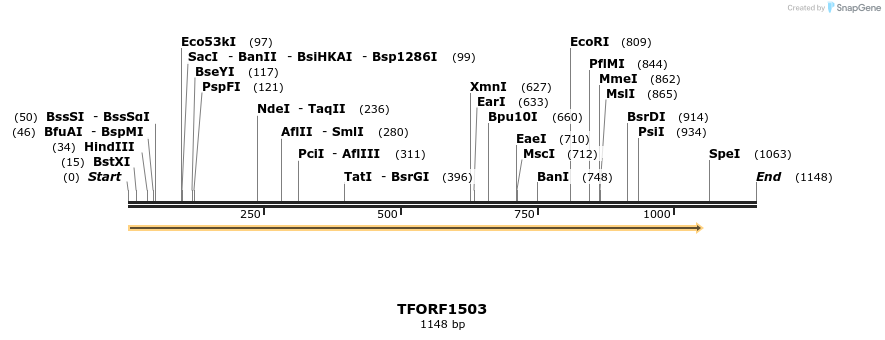 282654_map