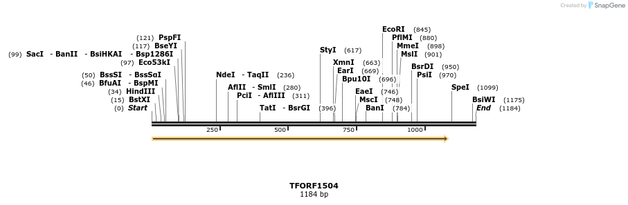 282657_map