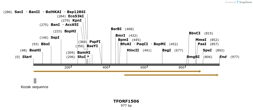 282660_map