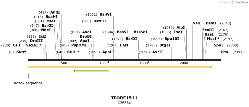 282666_map
