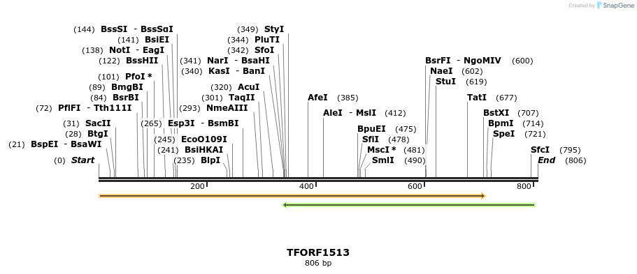 282669_map
