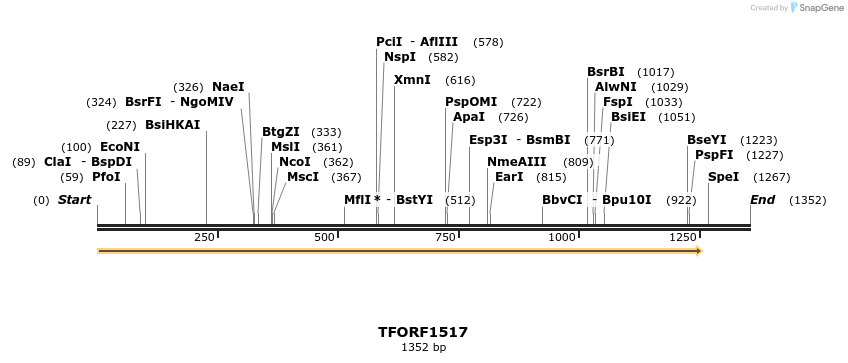 282672_map
