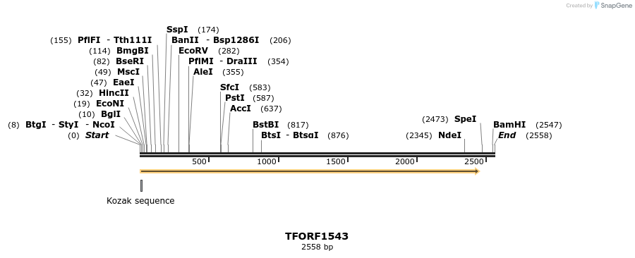 282684_map