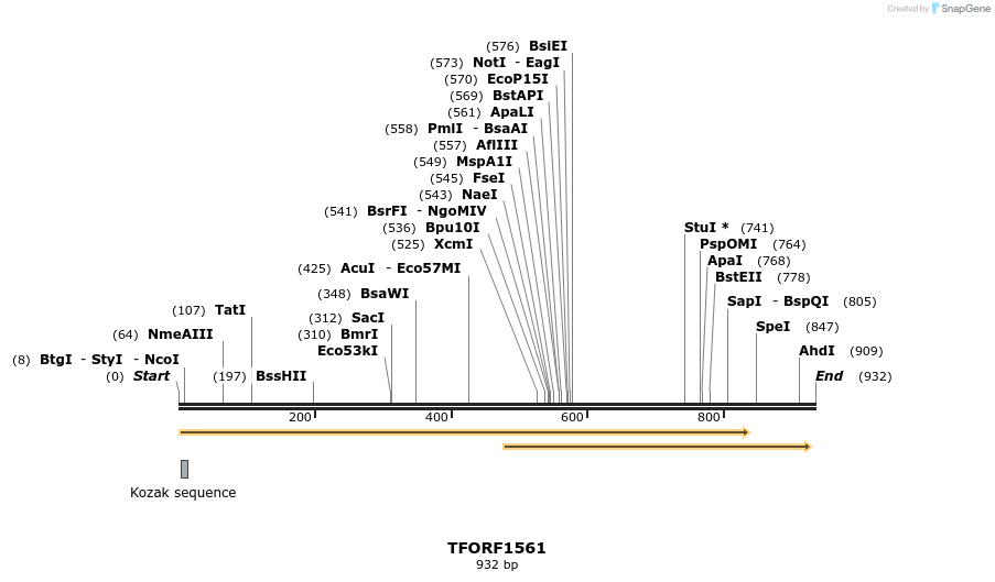 282690_map