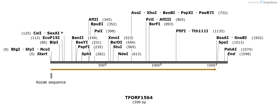 282693_map