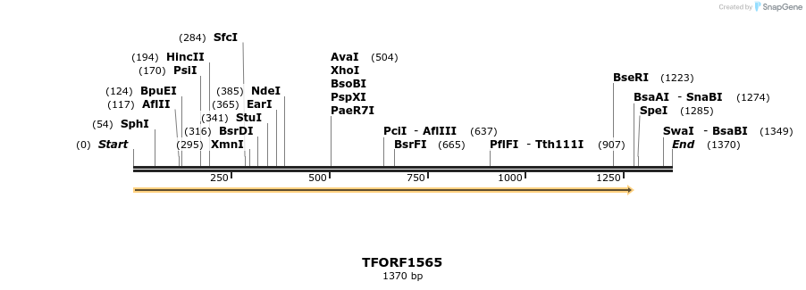 282696_map