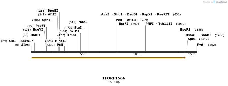 282699_map