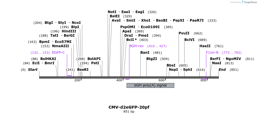 28270_map