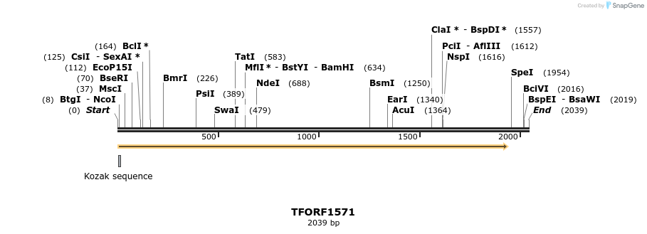 282702_map