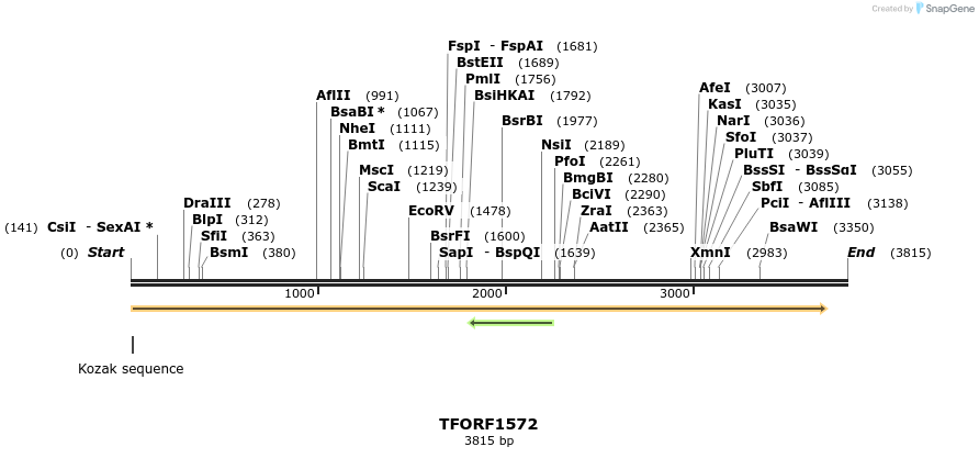 282705_map