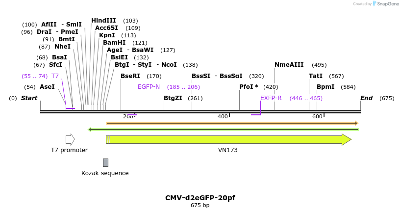 28271_map