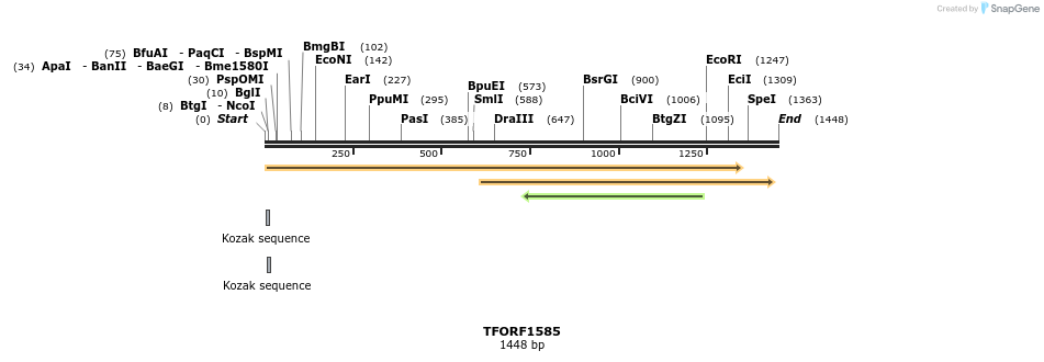 282711_map
