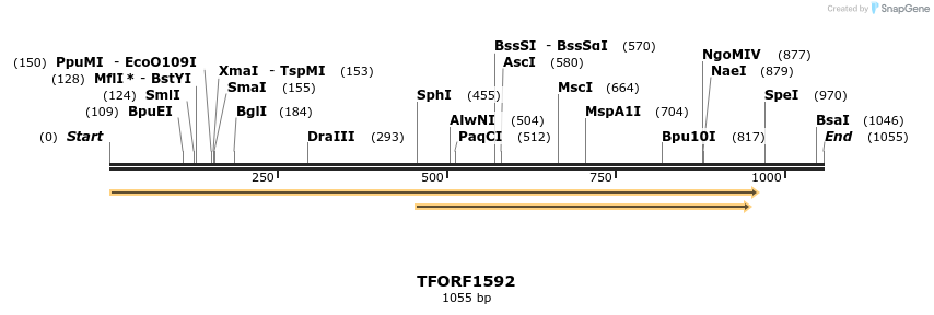 282717_map
