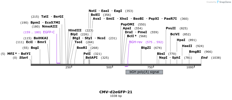 28272_map