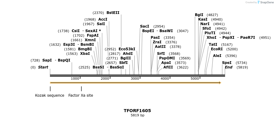 282720_map