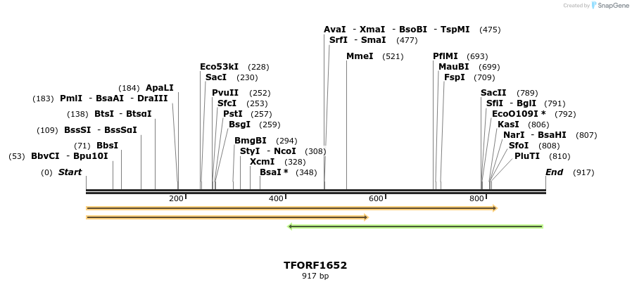 282726_map