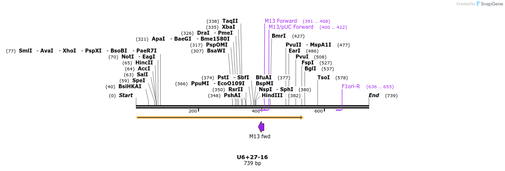 28273_map
