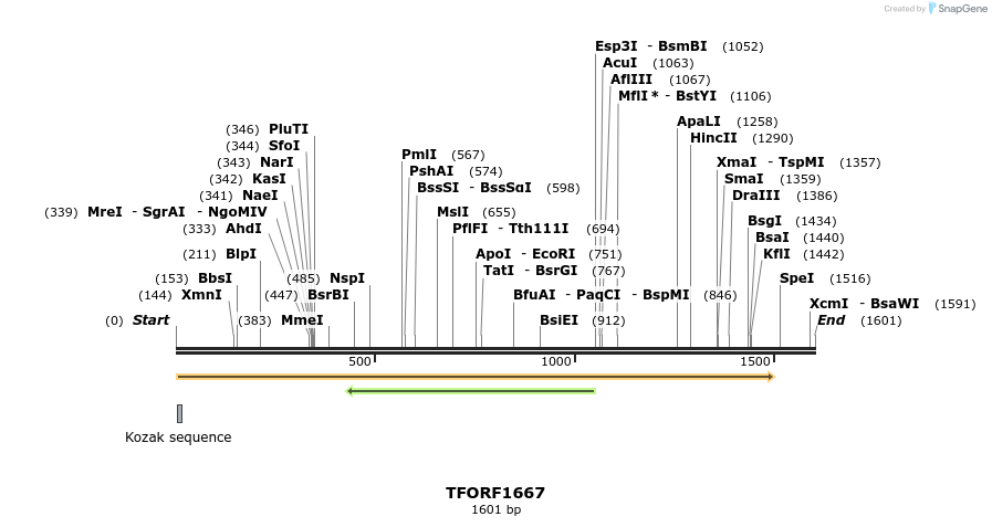 282732_map