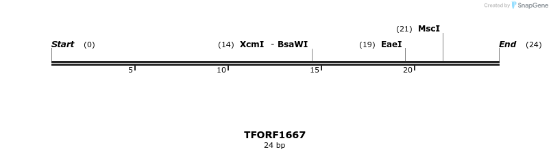 282733_map