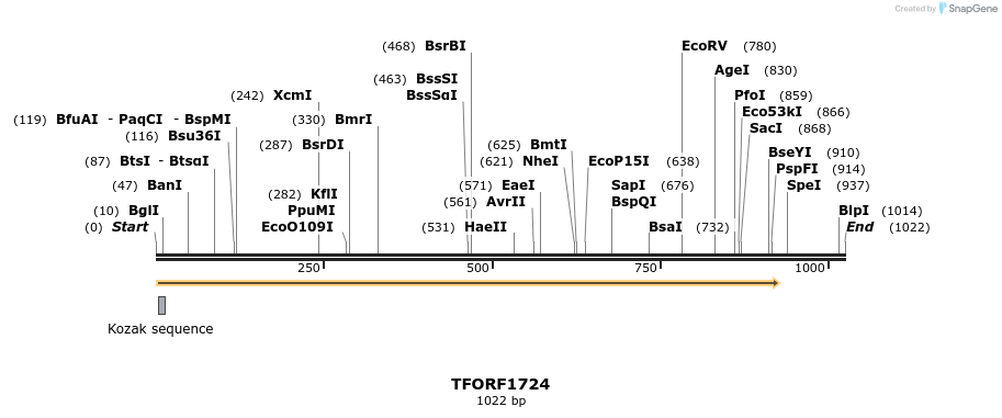 282738_map