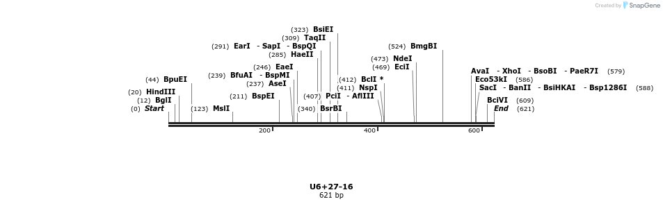 28274_map