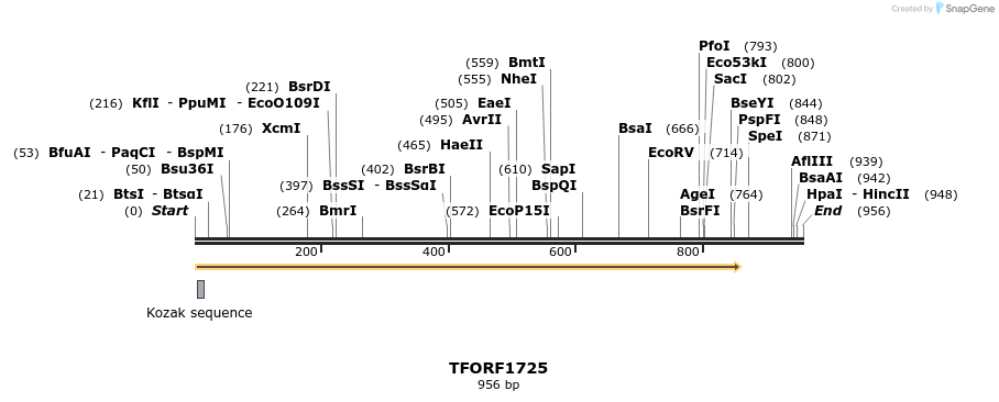 282741_map