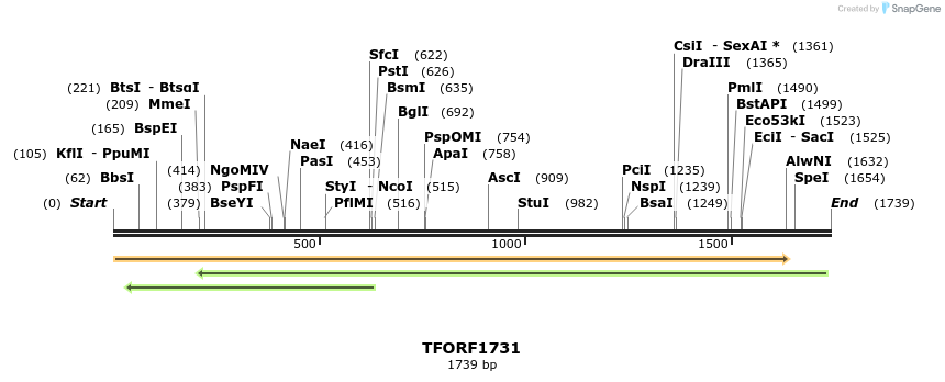 282744_map