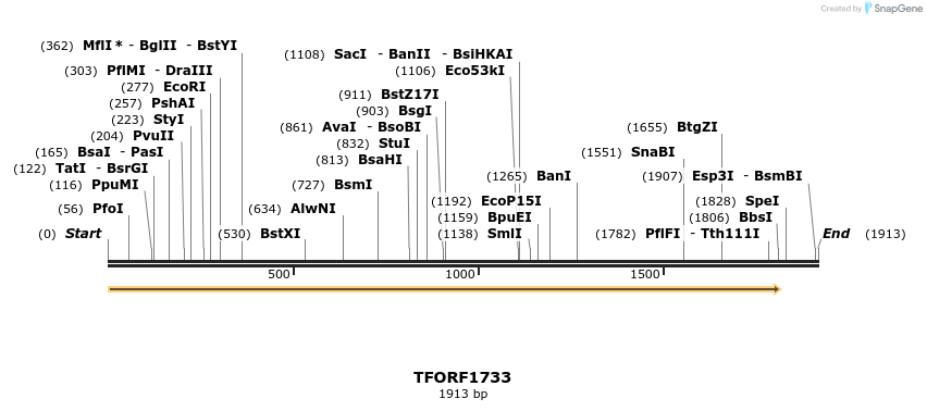 282747_map