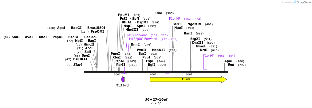 28275_map