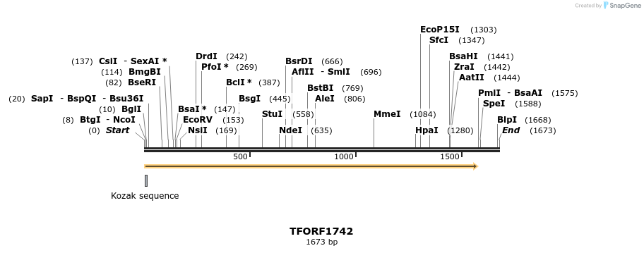282750_map