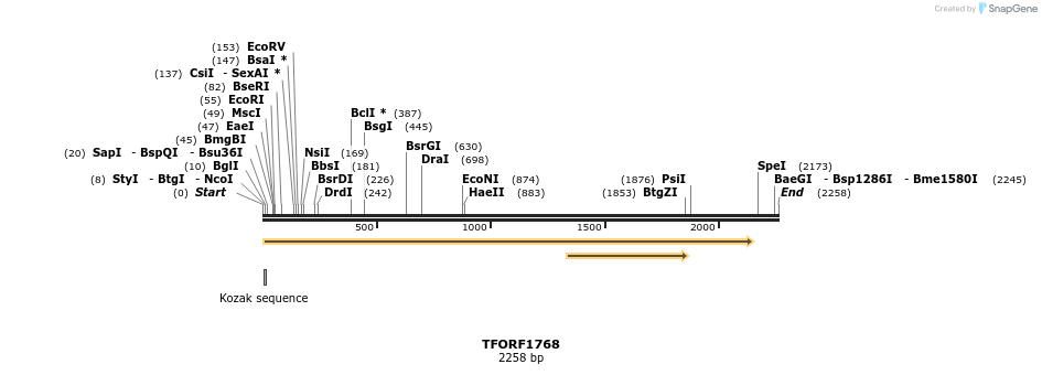 282753_map