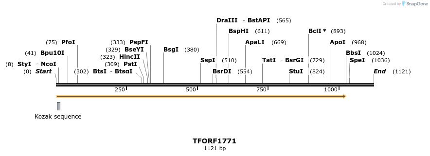 282756_map