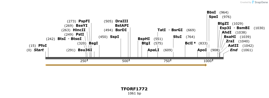 282759_map