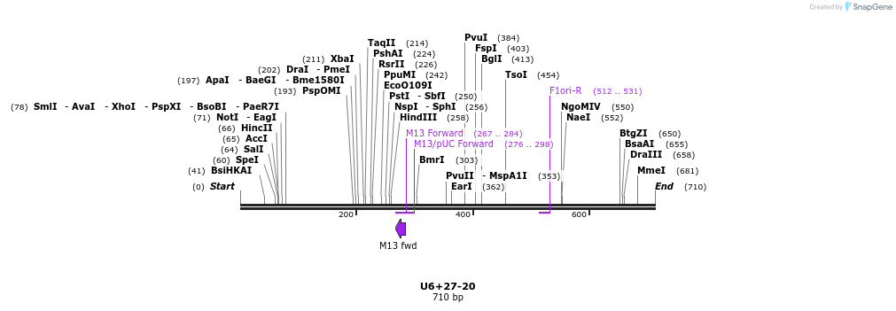 28276_map